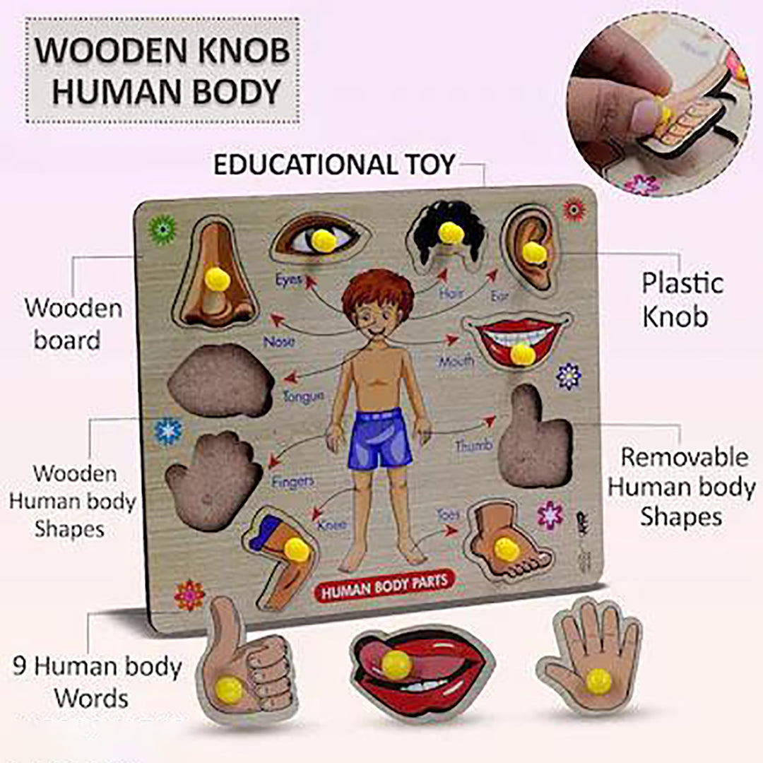Learning Educational Toys Wooden Human Parts Puzzle Wooden Toys For Kids Image 4