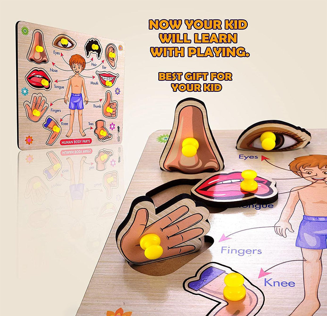 Learning Educational Toys Wooden Human Parts Puzzle Wooden Toys For Kids Image 2