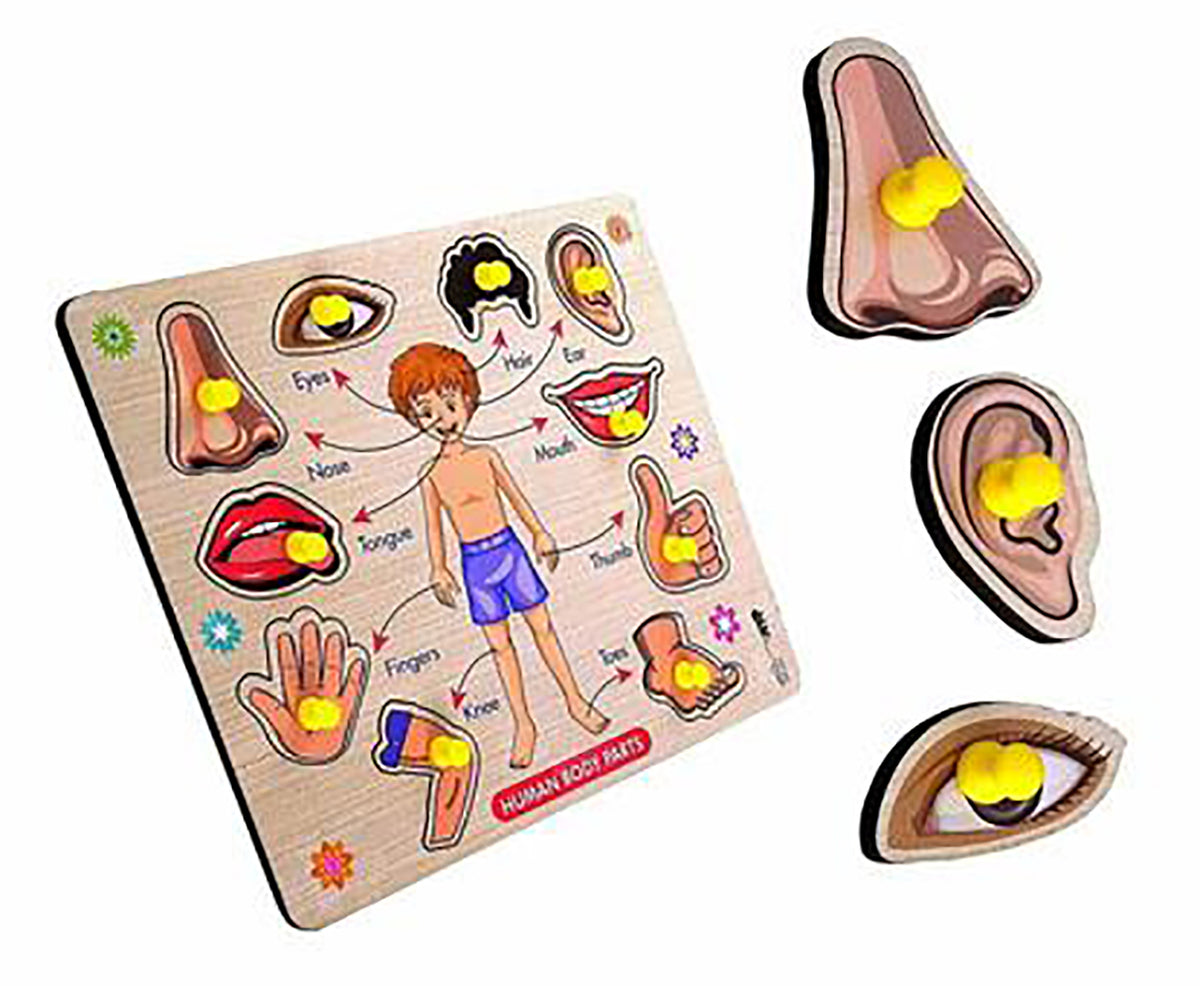 Learning Educational Toys Wooden Human Parts Puzzle Wooden Toys For Kids Image 1