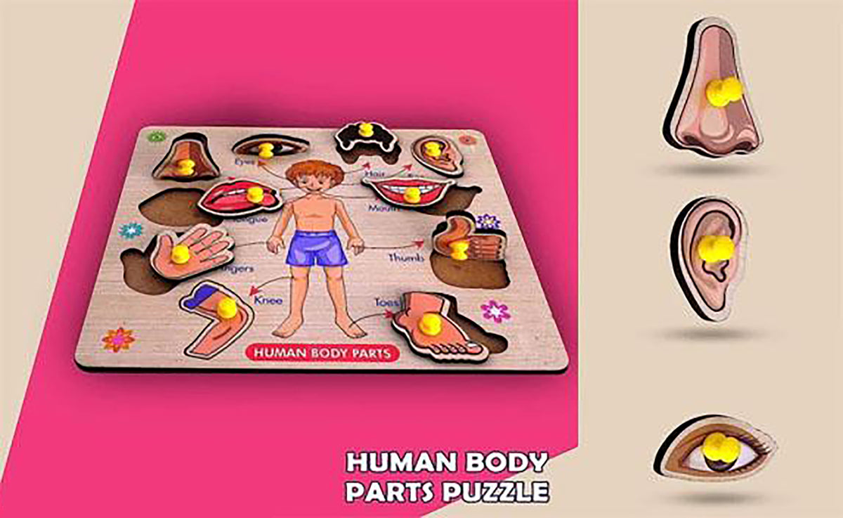 Learning Educational Toys Wooden Human Parts Puzzle Wooden Toys For Kids Image 3