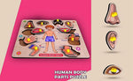 Learning Educational Toys Wooden Human Parts Puzzle Wooden Toys For Kids Image 3