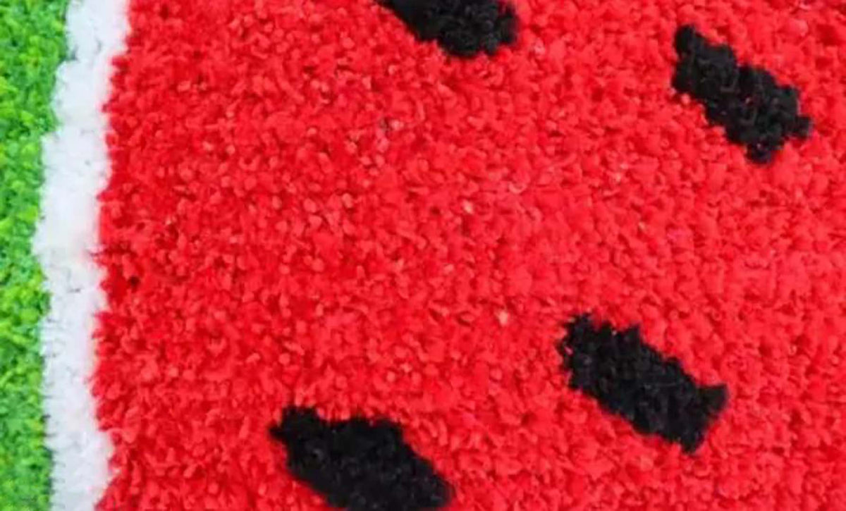 Microfiber Anti-Slip Doormat for Home & Bathroom Entrance Multicolor Semi Circle Mat (40x60 cm) Image 2