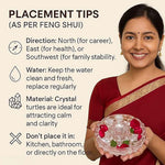 Crystal Tortoise With Plate Vastu Showpiece Set For Good Luck Feng Shui Kachua Turtle Transparent Image 4